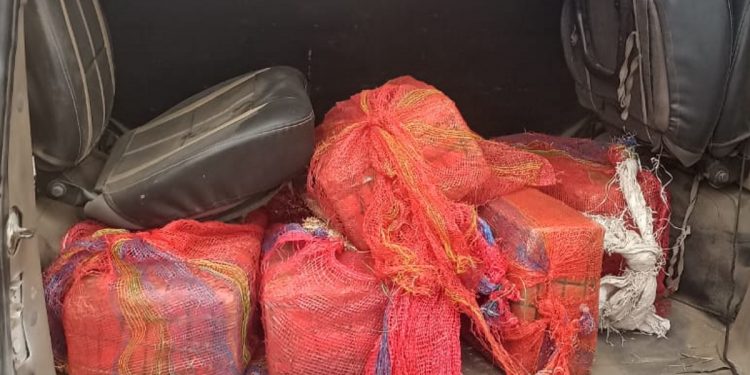 मुजफ्फरपुर पुलिस ने स्कॉर्पियो से 20 लाख का गांजा किया बरामद, तस्कर फरार
