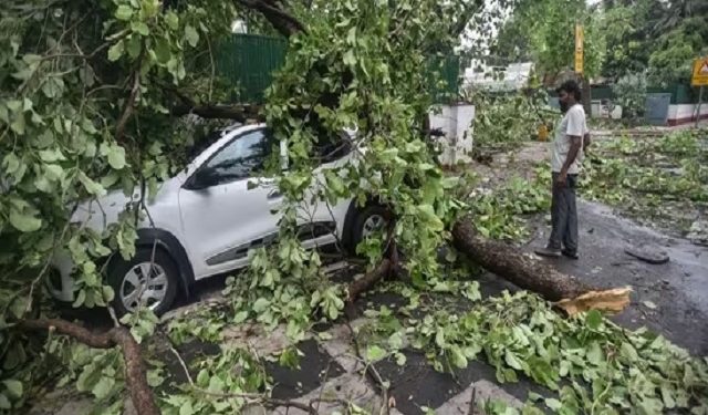 राजस्थान में तेज आंधी से उखड़े पेड़, गिरा टावर, एक बच्ची समेत 4 लोगों की मौत