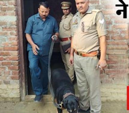बहन की हत्या कर थाने पहुंचा भाई, बोला- ‘साहब! मैंने बहन को कुल्हाड़ी से काट दिया’
