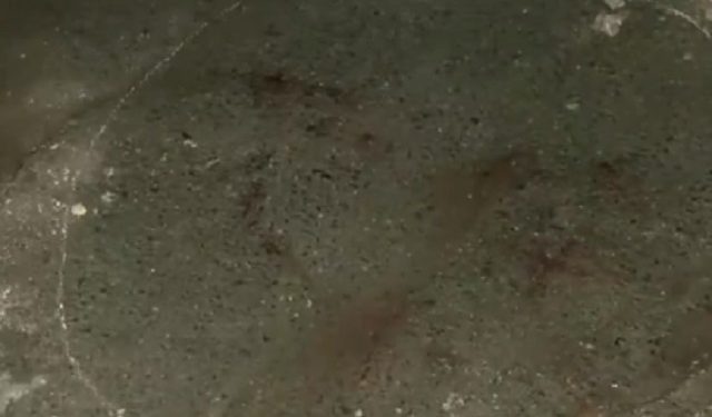 दिल्ली के लाजपतनगर गैंगवार, दो गुटों के बीच हुई गोलीबारी