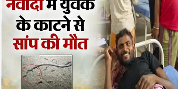 OMG….नवादा में युवक के काटने से सांप की मौत, पहले सांप ने डसा तो गुस्साए युवक ने सांप को 3 बार काटा
