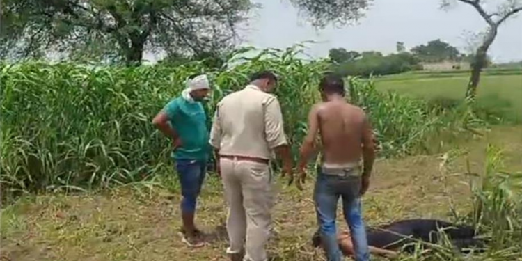 नशे की हालत में पुत्र की हत्या करने वाले दोषी पिता को उम्रकैद, 50 हजार का जुर्माना भी लगा