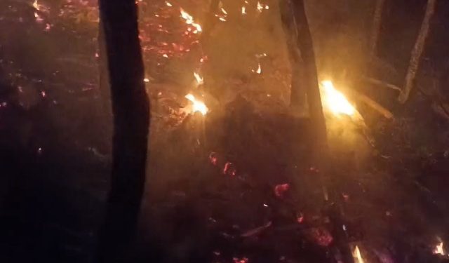 किसान ने ठंड से बचने के लिए जलाया अलाव, सुबह मिला कंकाल