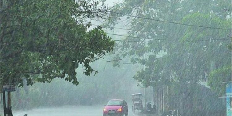 कहीं तेज बारिश तो कहीं बर्फबारी…आंधी-तूफान का अलर्ट जारी; जानें उत्तर भारत में मौसम का हाल