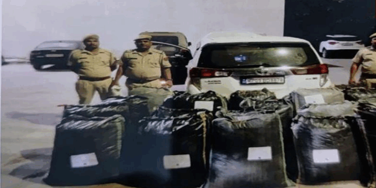 चित्तौड़गढ़ में 67.50 लाख का डोडाचूरा जब्त, इनोवा से हो रही थी तस्करी