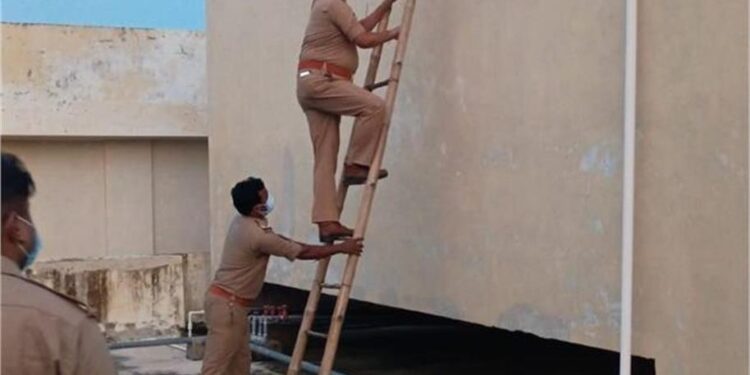 देवरिया मेडिकल कॉलेज में पानी की टंकी में मिली सड़ी-गली लाश, बदबू ने खोला खौफनाक राज – अस्पताल की सुरक्षा में भारी चूक!